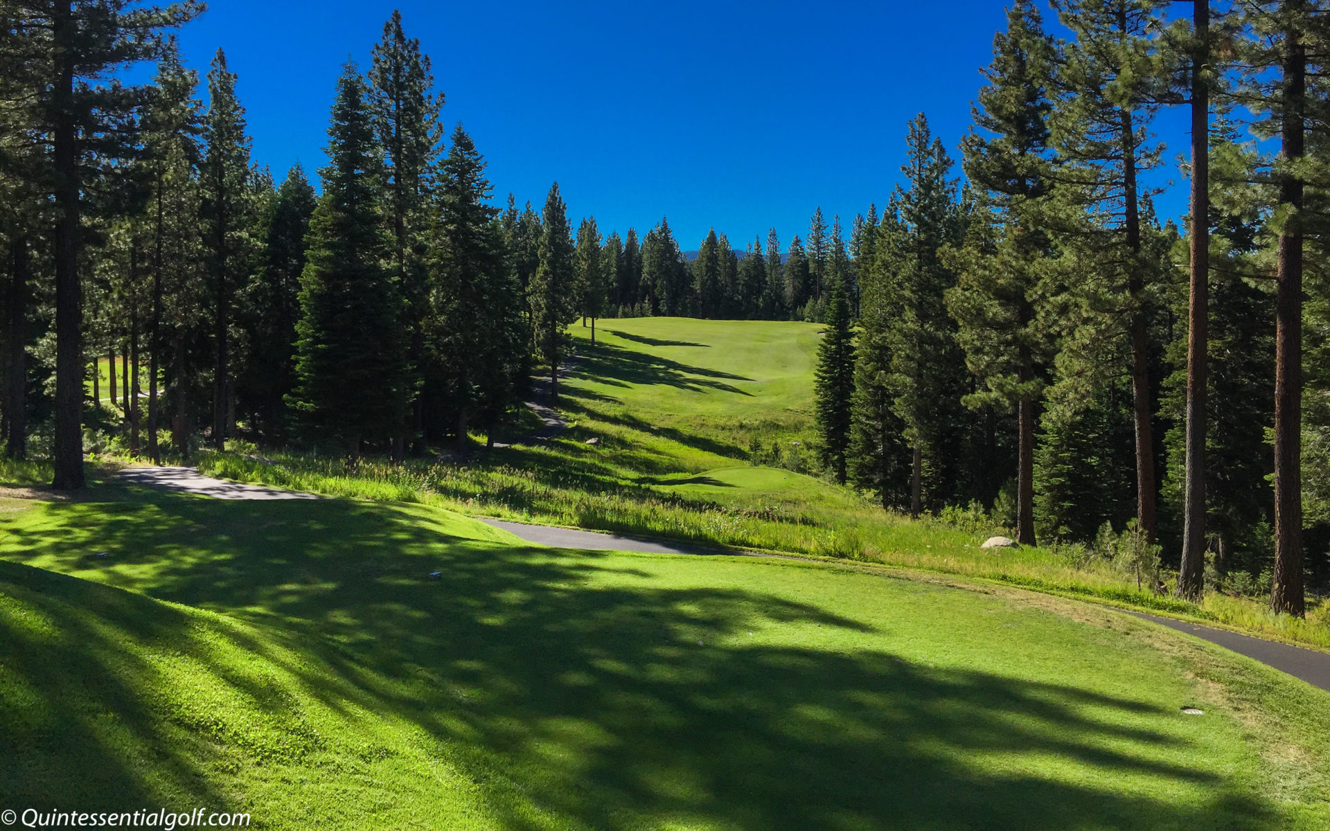 Coyote Moon Golf Course Quintessential Golf