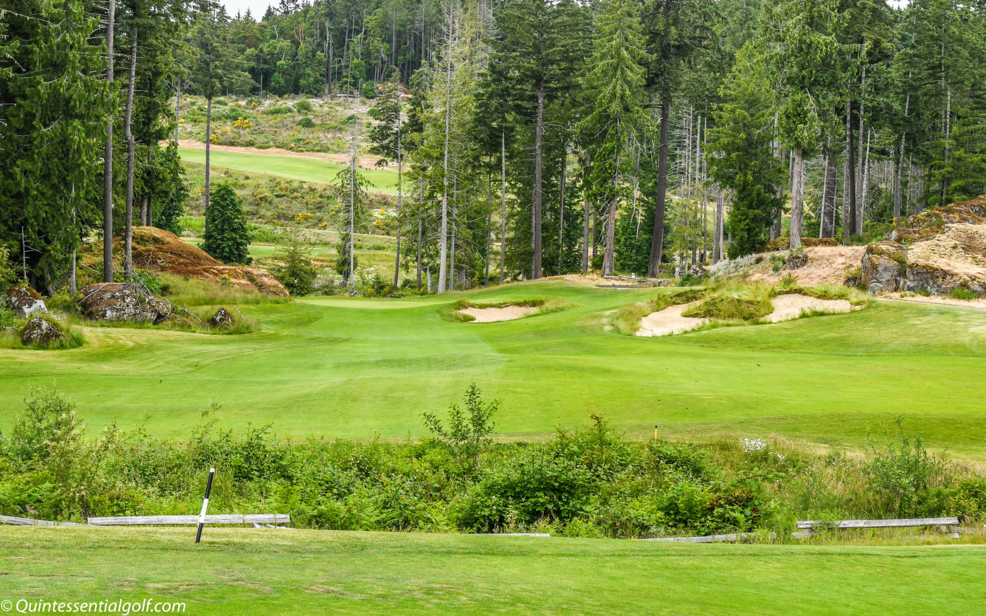 Bear Mountain Valley Course - Quintessential Golf