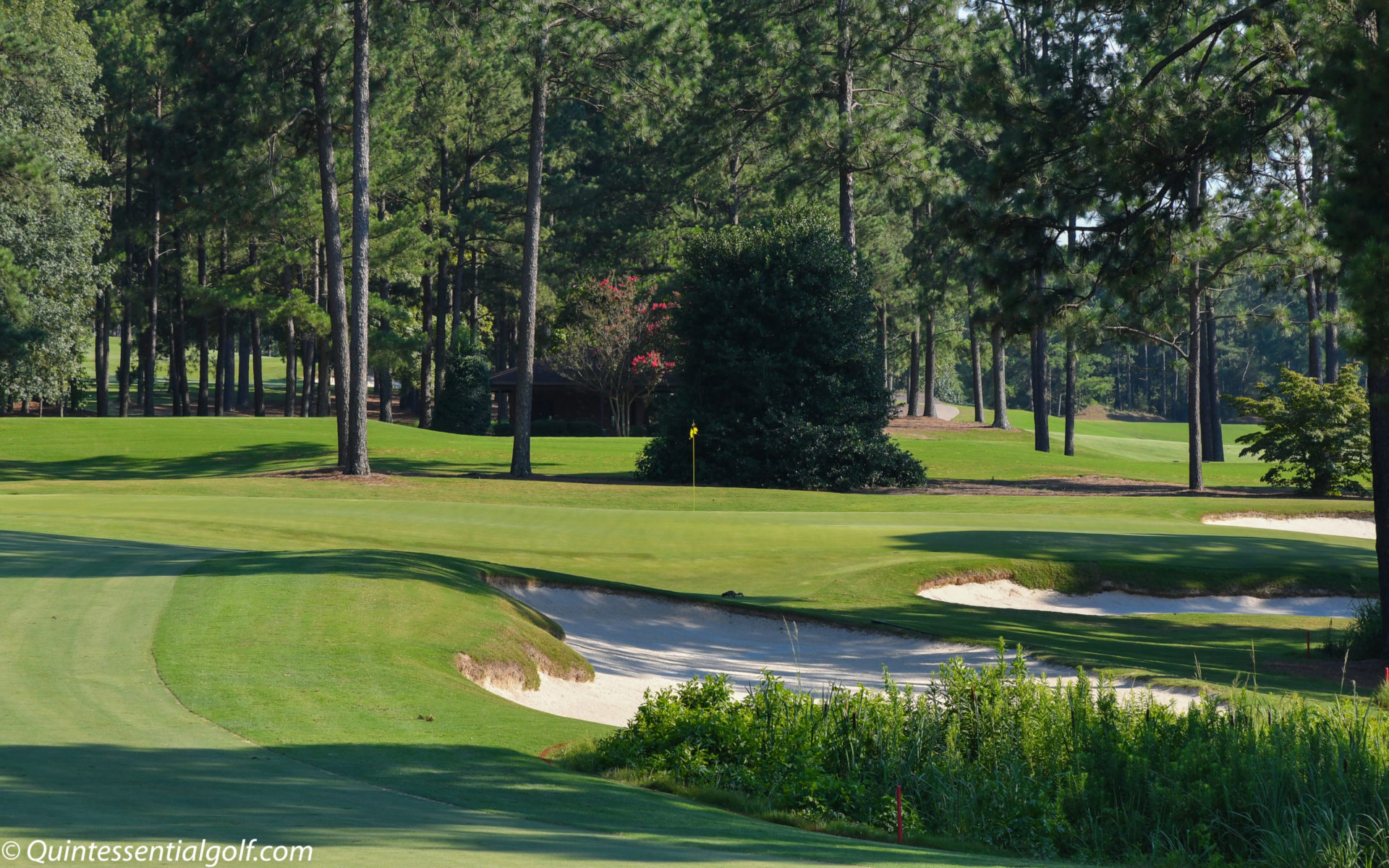 Pinehurst No. 8 The Centennial Quintessential Golf