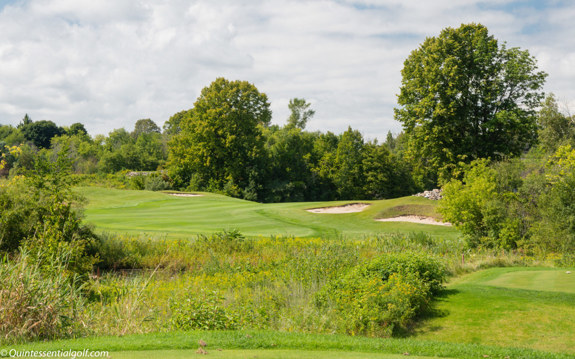 The Bog Course Wisconsin Quintessential Golf