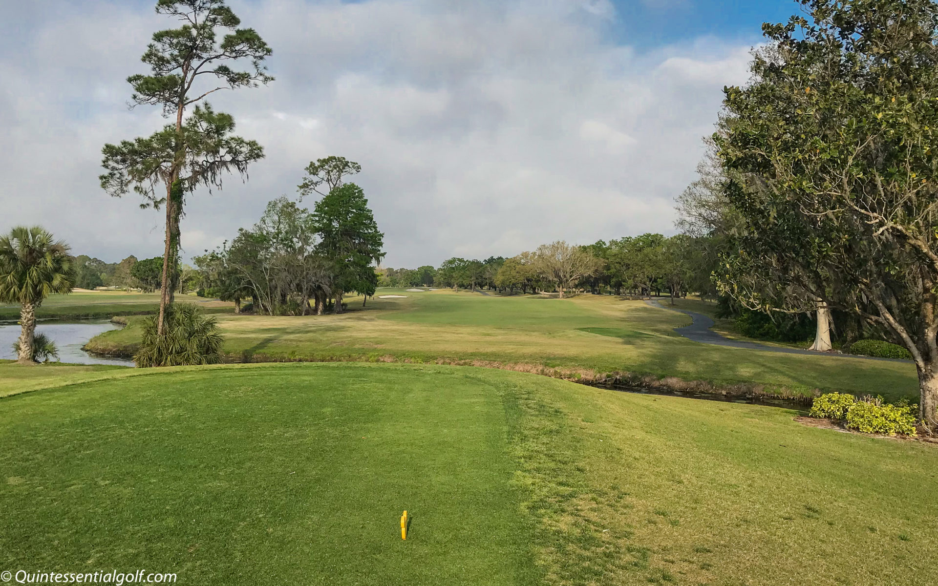 Disney Magnolia Course Quintessential Golf