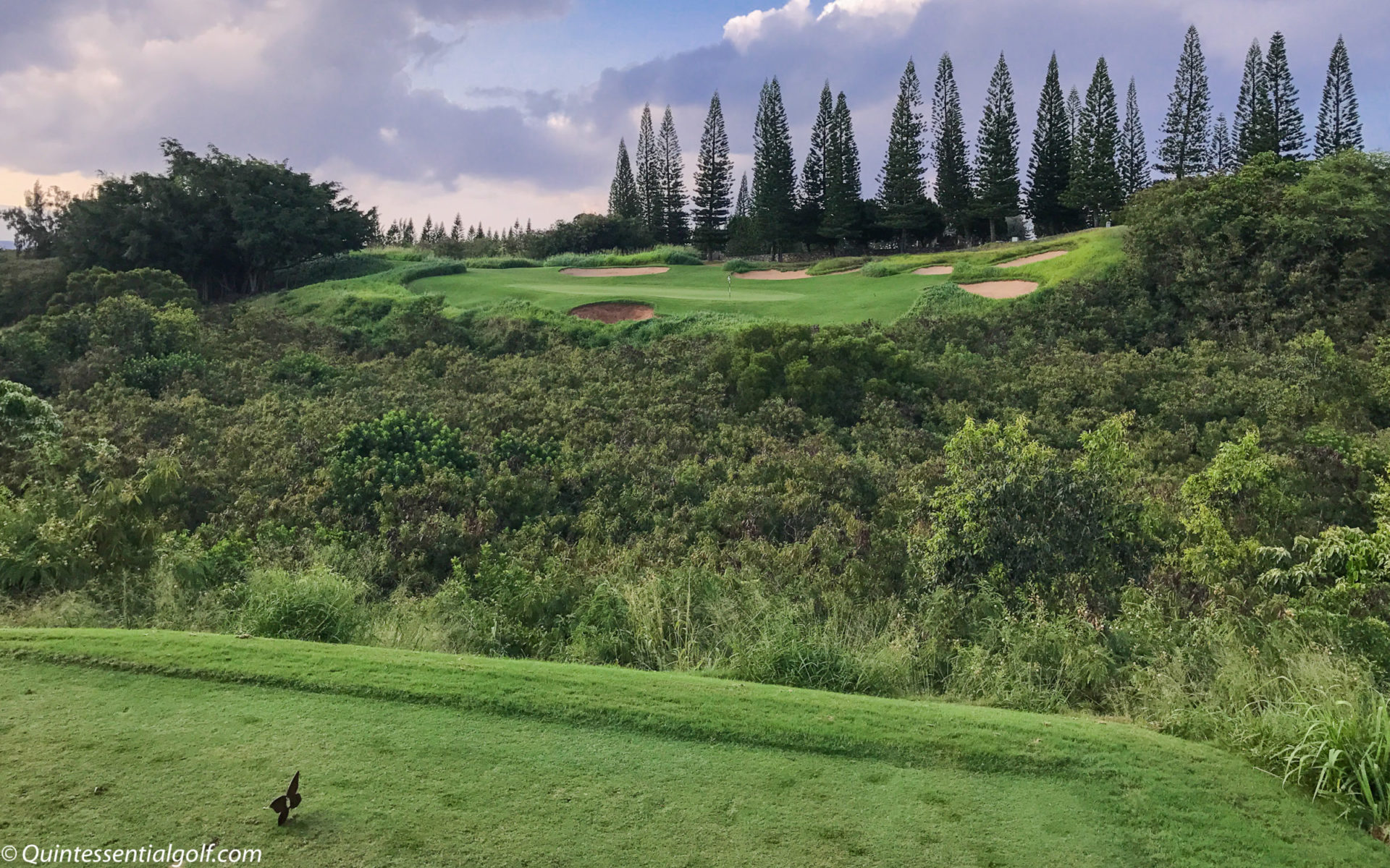 Kapalua Golf Plantation Course Quintessential Golf