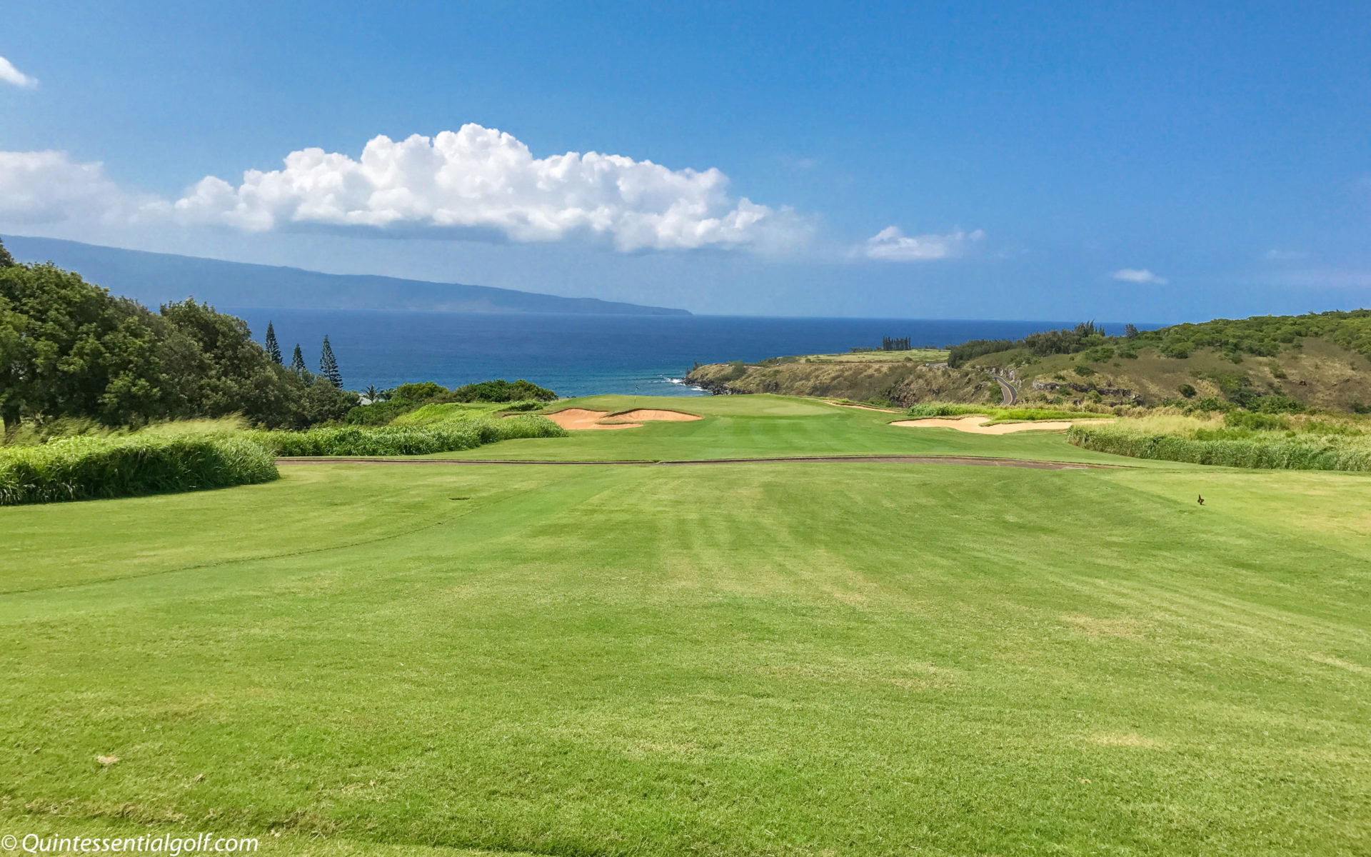 Kapalua Golf Plantation Course Quintessential Golf