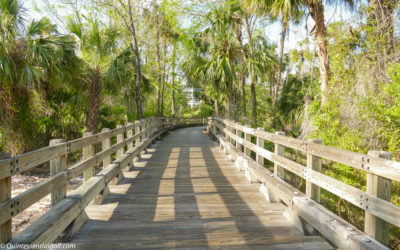 Bridge Between Hole #13 And #14