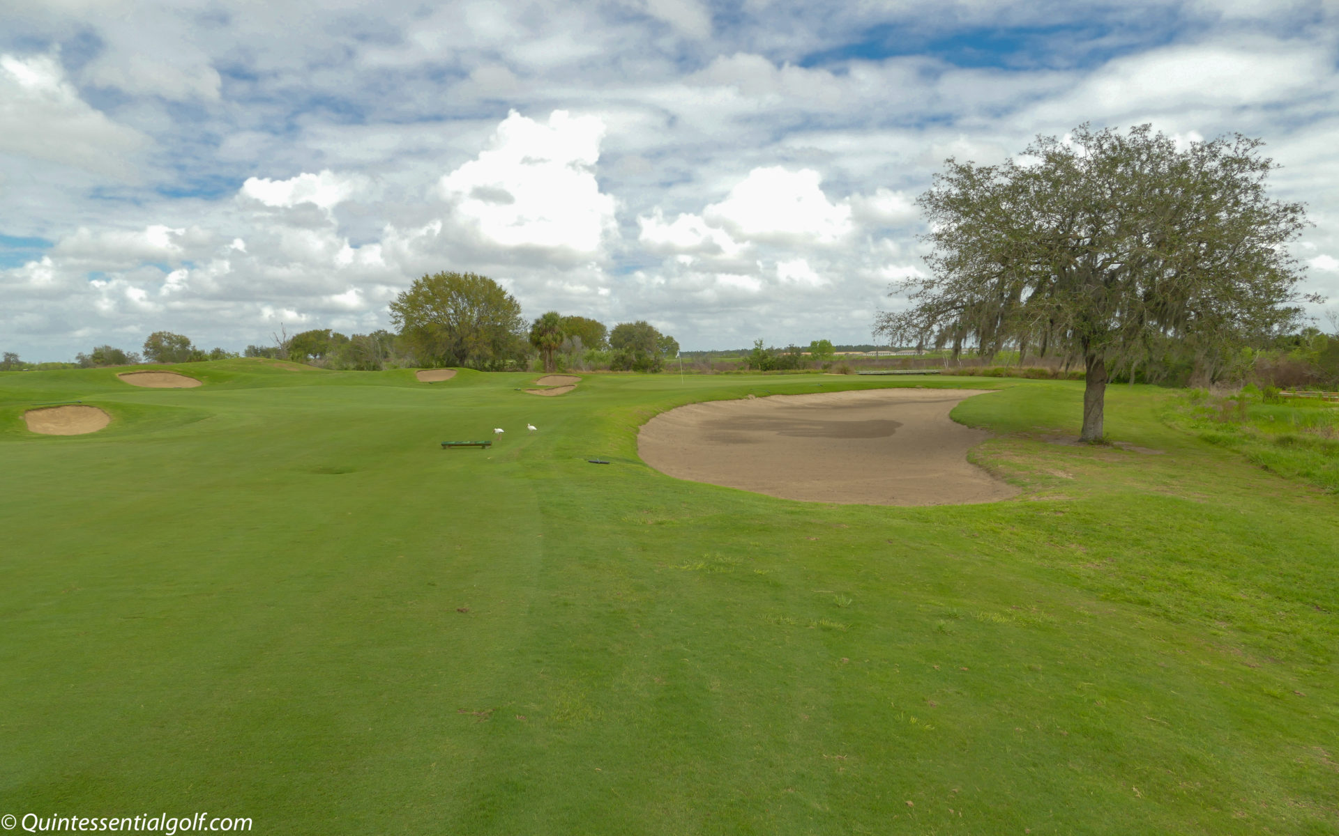 International Course at Champions Gate Quintessential Golf