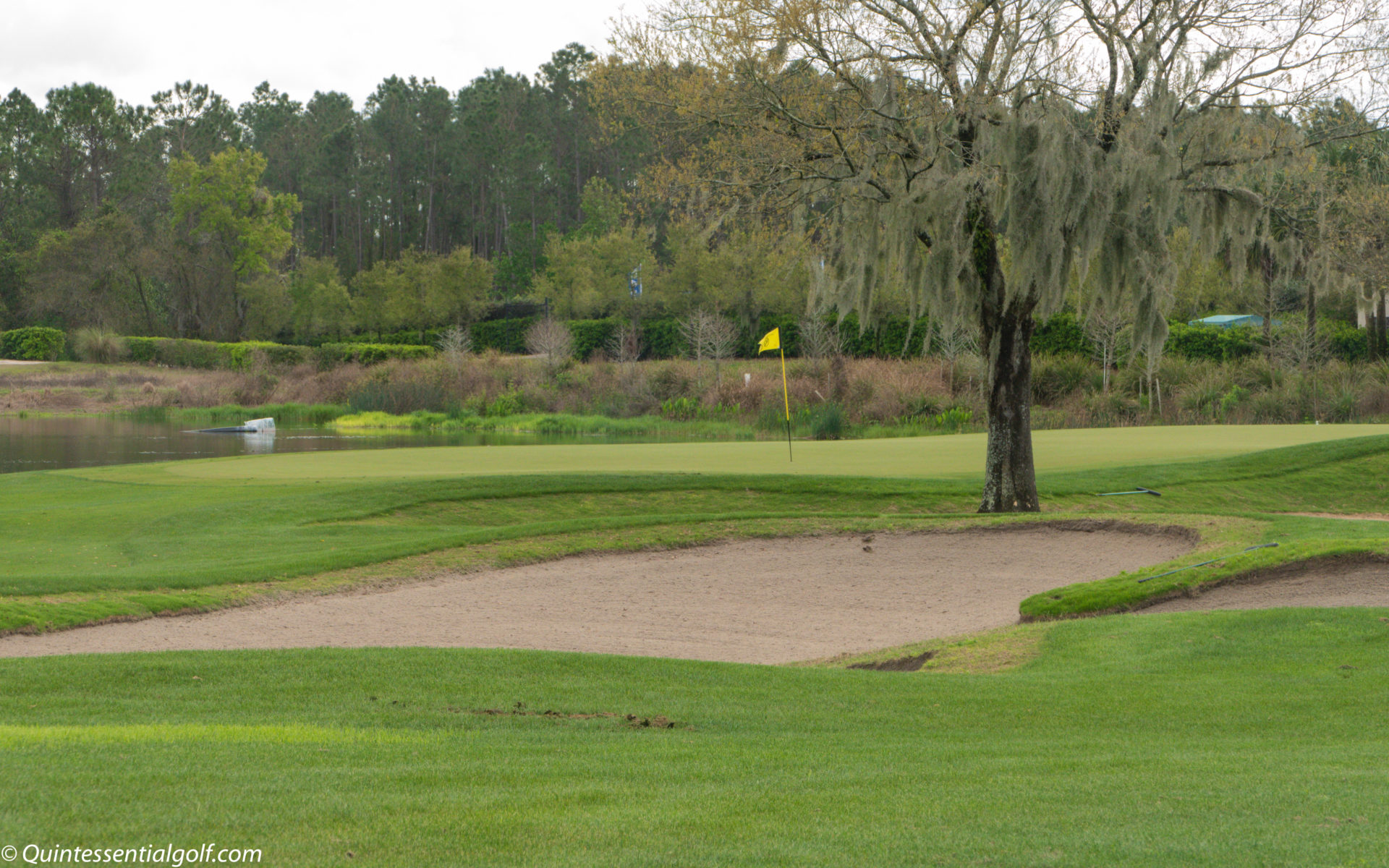 National Course at Champions Gate Quintessential Golf National Course at Champions Gate Quintessential Golf
