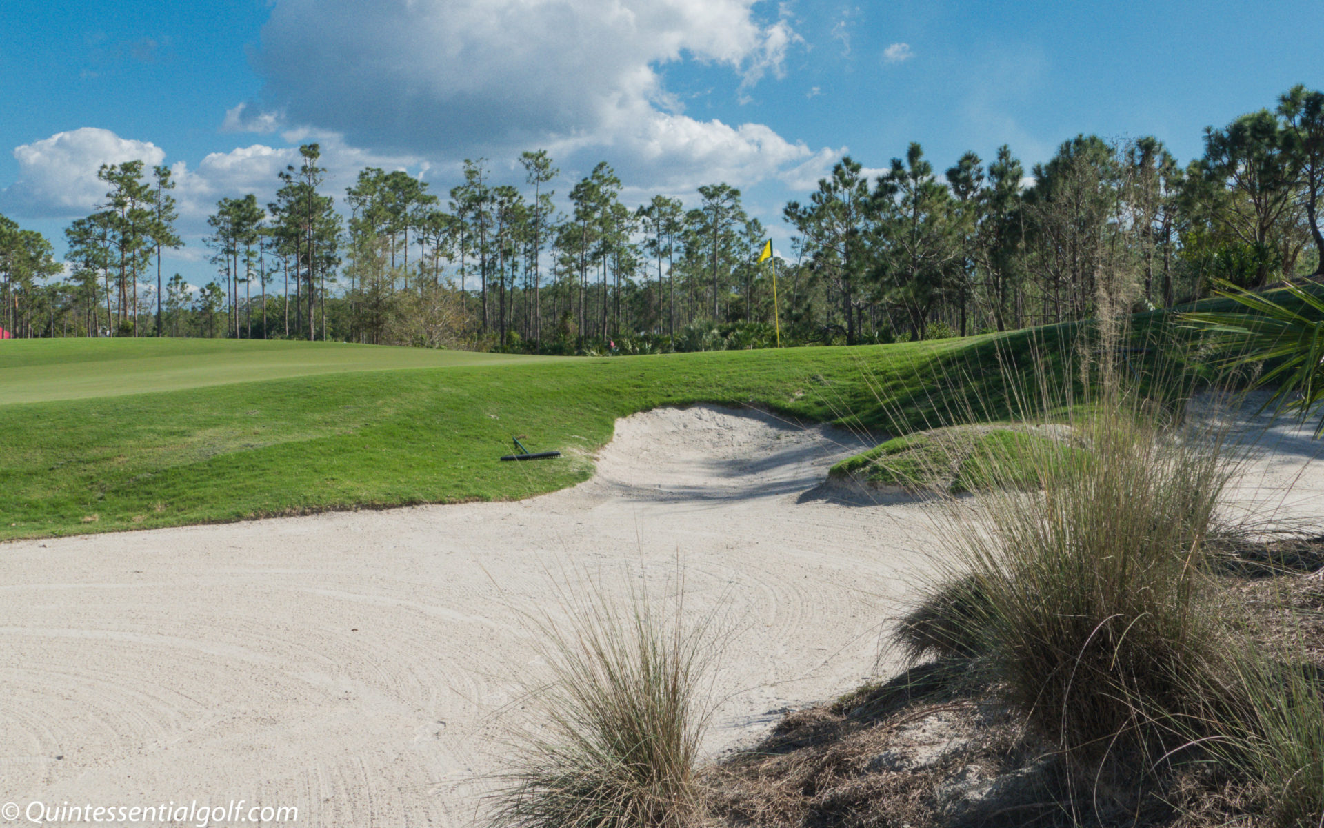Old Corkscrew Golf Club