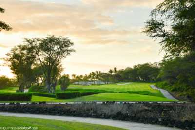 Wailea 11