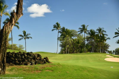 Wailea 4