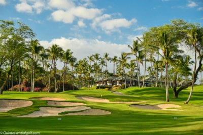 Wailea 9